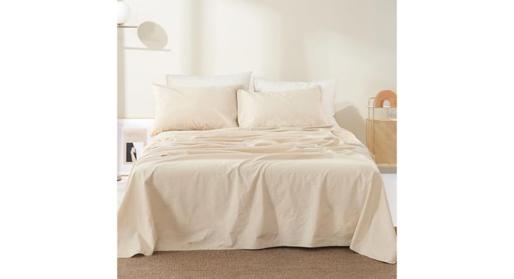 is bedlifes 100 french worth it